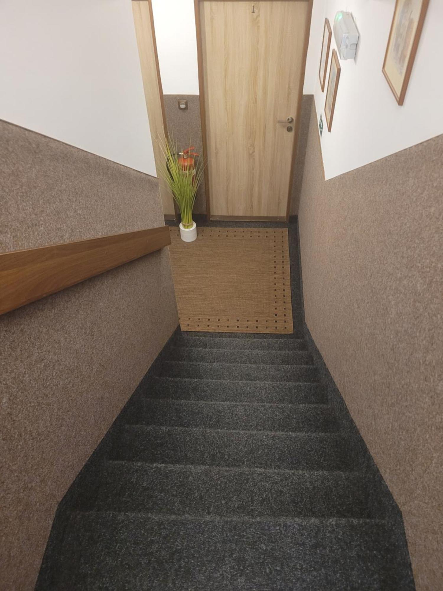 Pension Relax U Komina Frantiskovy Lazne Exterior photo
